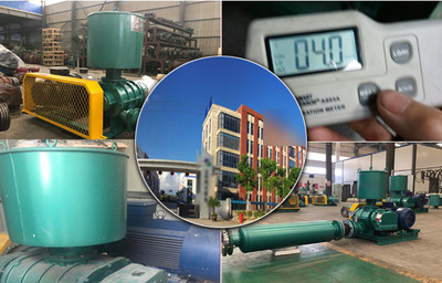 華東地區(qū)羅茨風(fēng)機(jī)應(yīng)用案例——江蘇環(huán)保設(shè)備的創(chuàng)新實踐